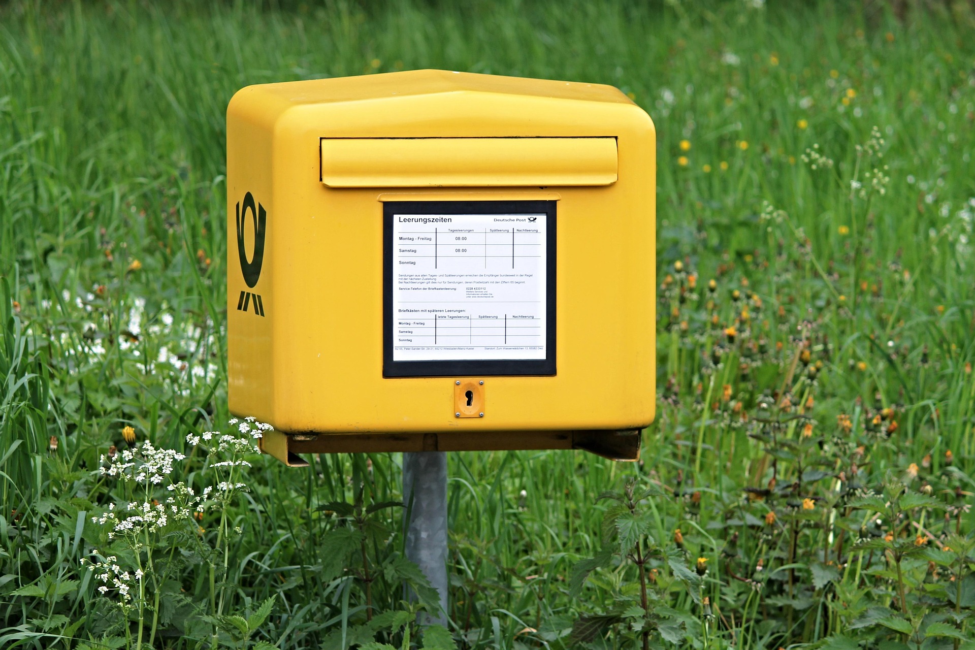 Albatros – E-Mail-Automation für Sportvereine